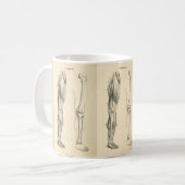 足の   ヴィンテージの解剖学|筋肉そして骨 コーヒーマグカップ (正面左)