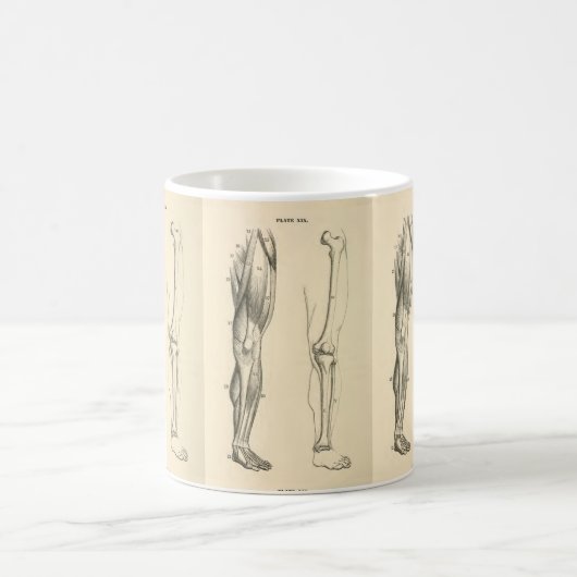 足の   ヴィンテージの解剖学|筋肉そして骨 コーヒーマグカップ (中央)