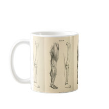 足の   ヴィンテージの解剖学|筋肉そして骨