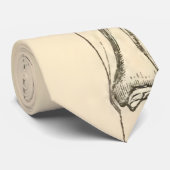 足の   ヴィンテージの解剖学|筋肉そして骨 ネクタイ (ロール)