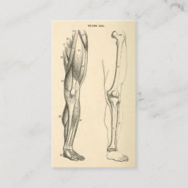 足の   ヴィンテージの解剖学|筋肉そして骨 名刺