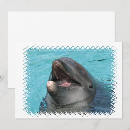 足ひれの招待状 招待状 (正面/裏面)