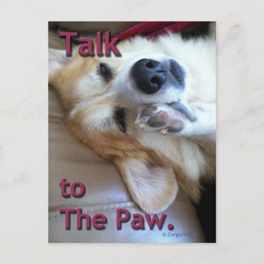 "足への話"のコーギーの郵便はがき ポストカード (正面)