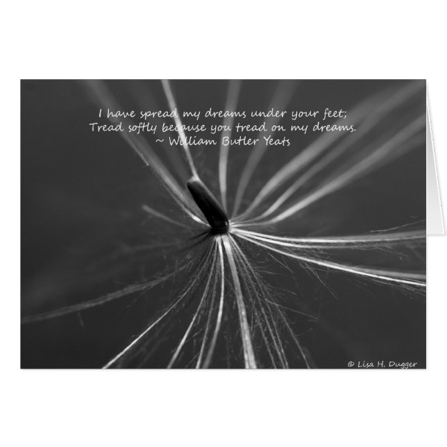 足もとの壊れやすい夢 (正面横)