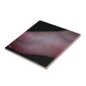 足ドーム タイル (側面)