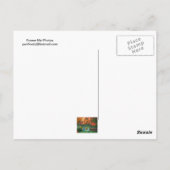 足ブリッジの秋 ポストカード (裏面)