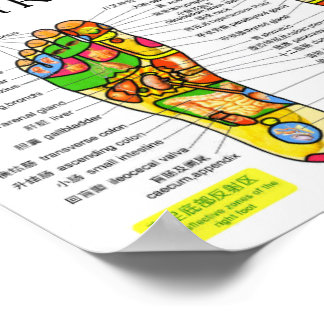 足リフレクソロジーのグラフ10x7インチ ポスター