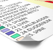 足リフレクソロジー12x12インチ ポスター (角)