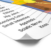 足リフレクソロジー18x12インチ ポスター (角)