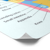 足リフレクソロジー18x13インチ ポスター (角)