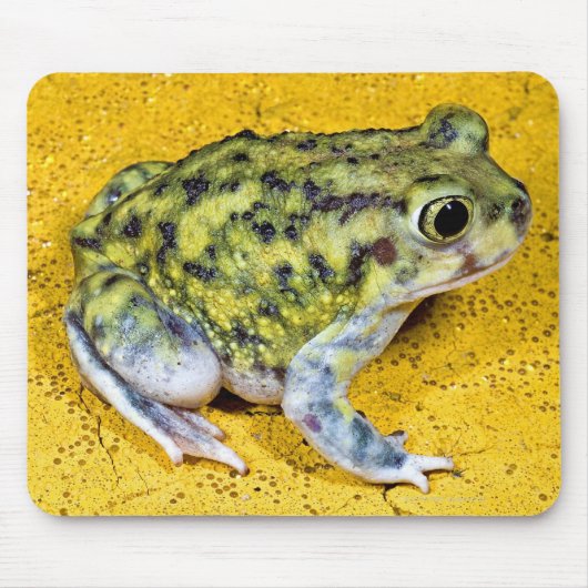 足先の広いヒキガエル マウスパッド (正面)