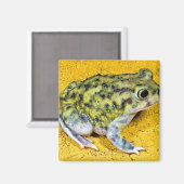 足先の広いヒキガエル マグネット (正面/裏面)