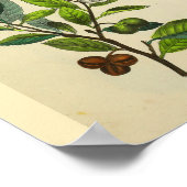 足筋肉骨解剖学ヴィンテージアートプリント ポスター (角)