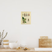 足筋肉骨解剖学ヴィンテージアートプリント ポスター (キッチン)