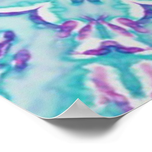 足糸菌 ポスター (角)