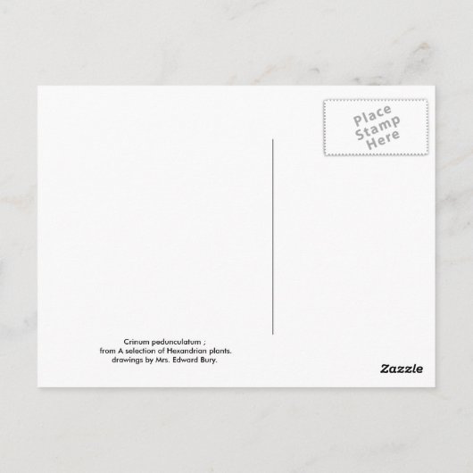 足蓋裂 ポストカード (裏面)