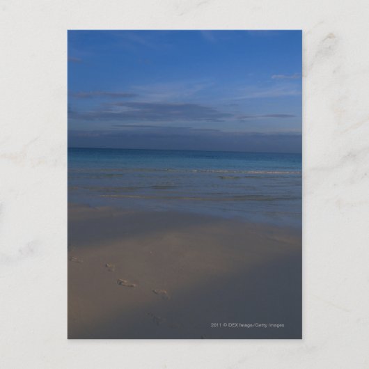 足跡オンビーチ ポストカード (正面)