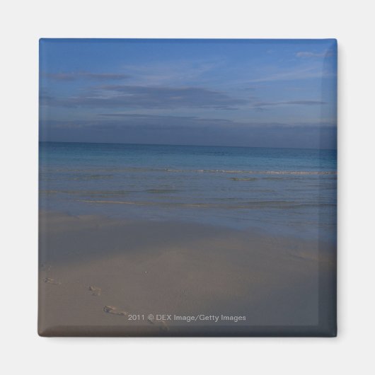 足跡オンビーチ マグネット (正面)