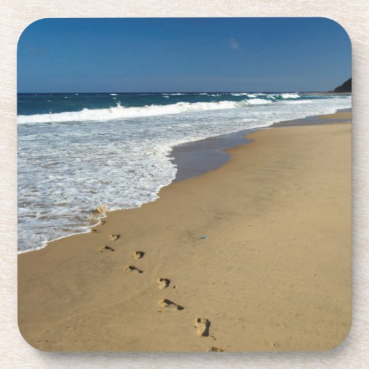 足跡オンビーチ、マビビ、トンガランド コースター (正面)