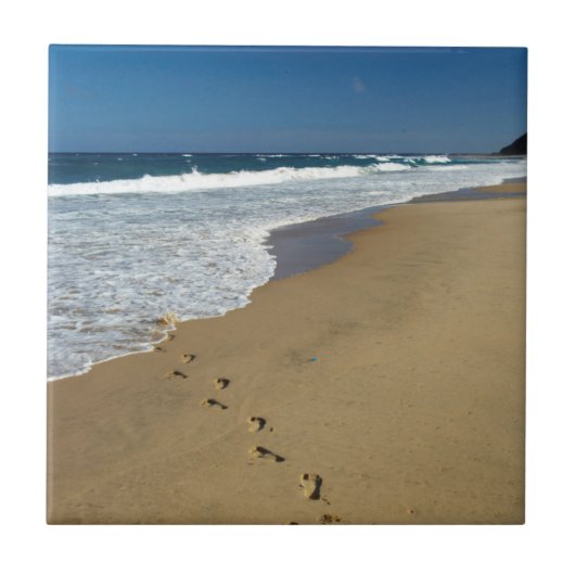 足跡オンビーチ、マビビ、トンガランド タイル (正面)