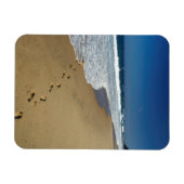 足跡オンビーチ，マビビ，トンガラン マグネット (横)