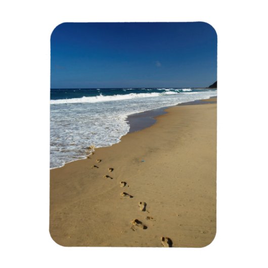 足跡オンビーチ，マビビ，トンガラン マグネット (縦)