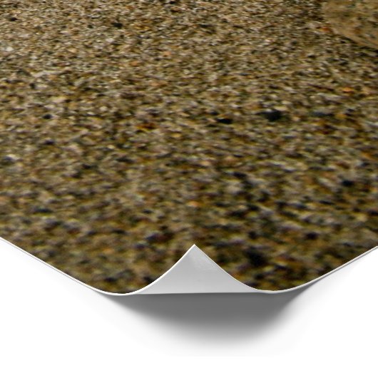 足跡 ポスター (角)