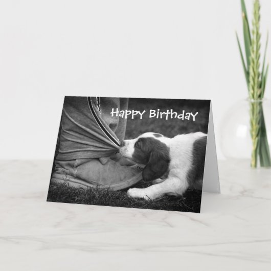 足首の噛む人 カード (正面)