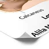 足首の関節構造、ラベル付き図。 ポスター (角)