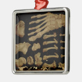 足骨の解剖学的スケッチ メタルオーナメント (左)