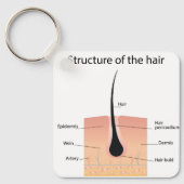 足骨構造 キーホルダー (正面)