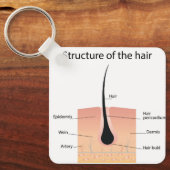 足骨構造 キーホルダー (正面)