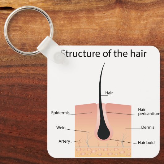 足骨構造 キーホルダー (正面)