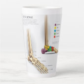 足骨解剖学 カフェラテマグ (正面)