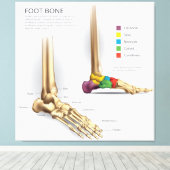 足骨解剖学 キャンバスプリント (インサイチュ (ウッドフロア))