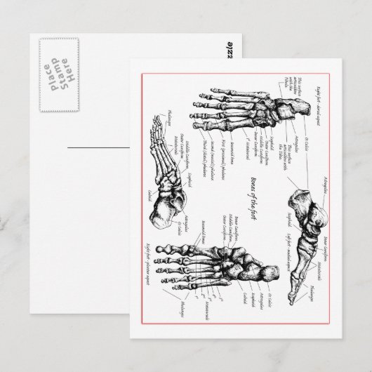 足骨 ポストカード (正面/裏面)