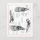 足骨 ポストカード (正面)