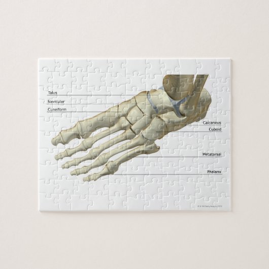 足15 ジグソーパズル (横)