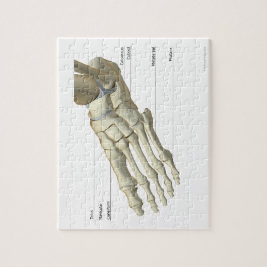 足15 ジグソーパズル (縦)