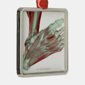 足2のMusculoskeleton メタルオーナメント (右)