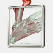 足2のMusculoskeleton メタルオーナメント (左)