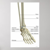 足5 ポスター (正面)
