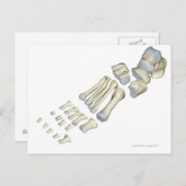 足9 ポストカード (正面/裏面)