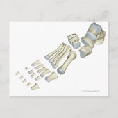 足9 ポストカード (正面)