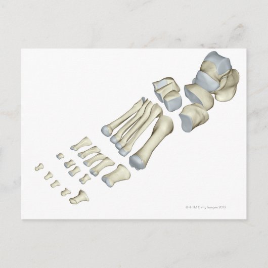 足9 ポストカード (正面)
