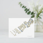 足9 ポストカード (スタンド正面)