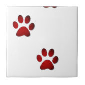 足 タイル (正面)