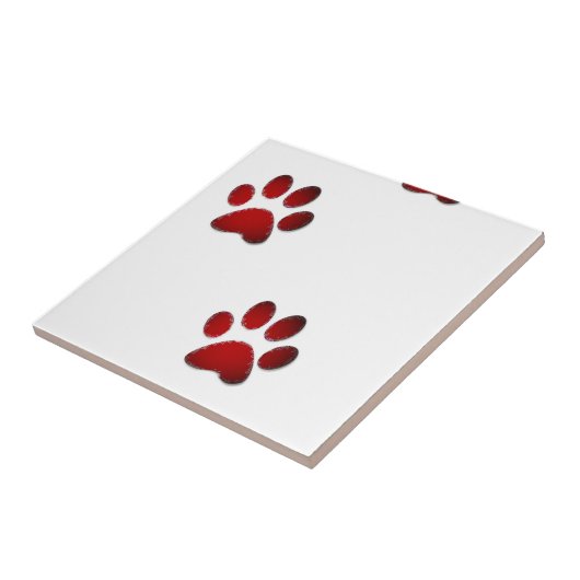 足 タイル (側面)