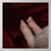 足 ポスター (正面)