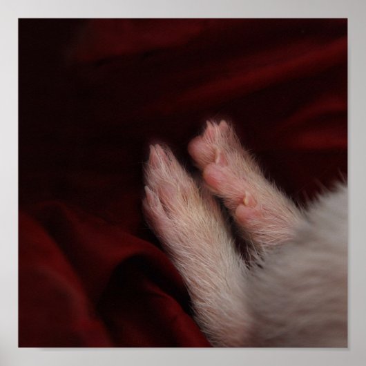 足 ポスター (正面)